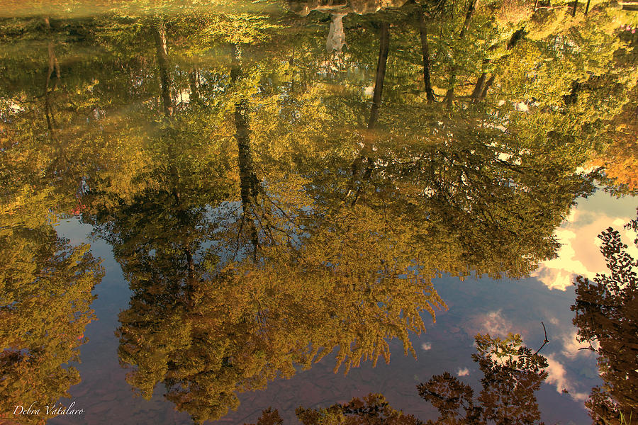 Autumn Sky Reflection Photograph by Debra     Vatalaro
