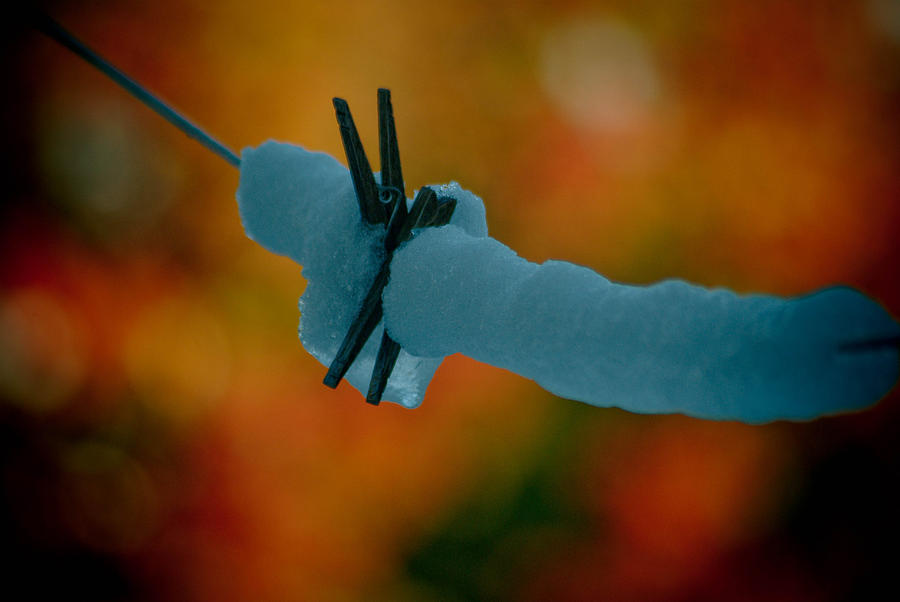 Autumn Snow Photograph by Trish Tritz