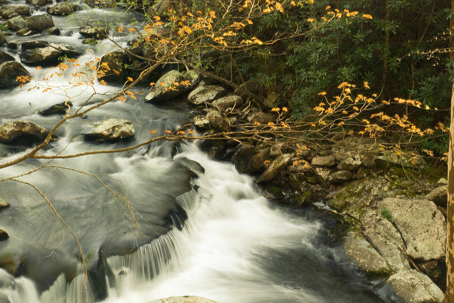Autumn Spill Photograph by Rick Hartigan