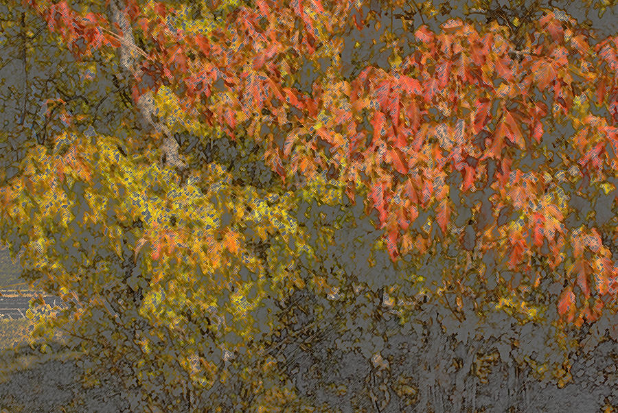 Leaves Photograph - Autumn Splash by Joanne Smoley Leaves Photograph - Autumn Splash by Joanne Smoley