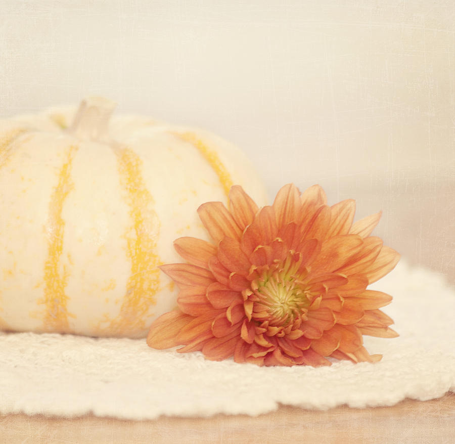 Pumpkin Photograph - Autumn Splendor by Kim Hojnacki