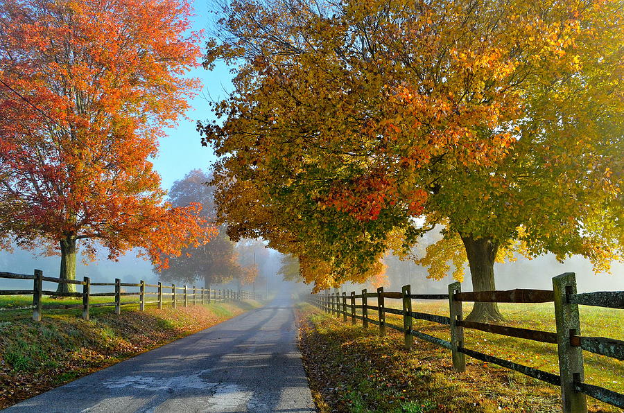 Autumn Splendor Photograph by Michael Biggs