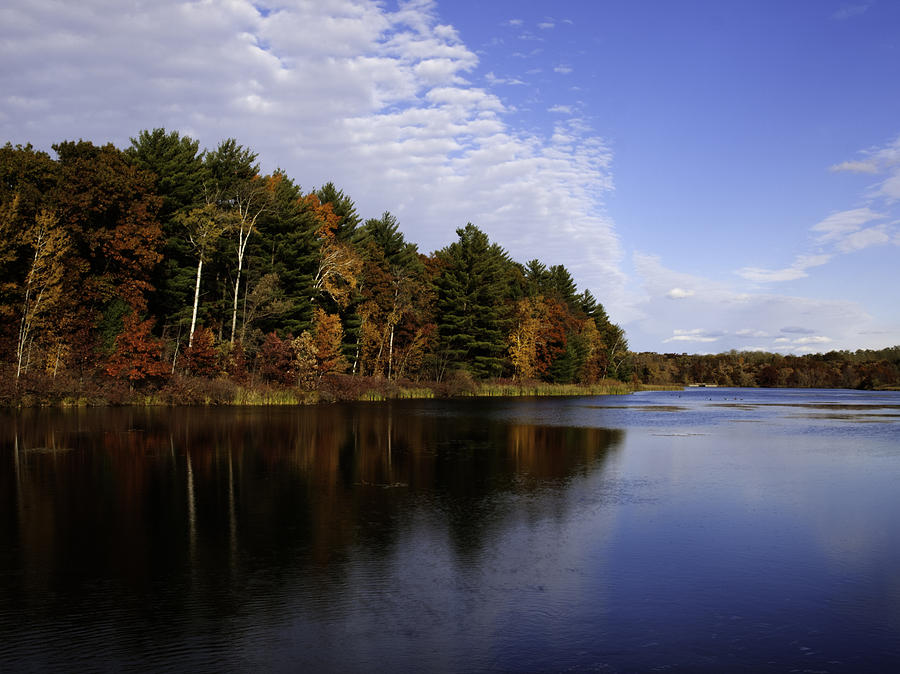 Autumn Splendor Photograph by Thomas Young Autumn Splendor Photograph by Thomas Young