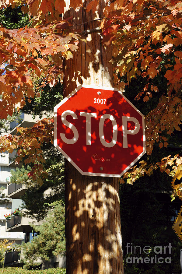 Autumn Stop Sign Photograph by John  Mitchell