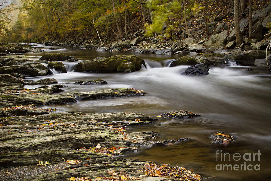 Autumn Stream 1 Photograph by Dennis Hedberg