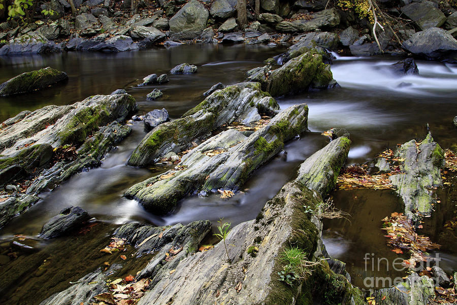 Autumn Stream 2 Photograph by Dennis Hedberg