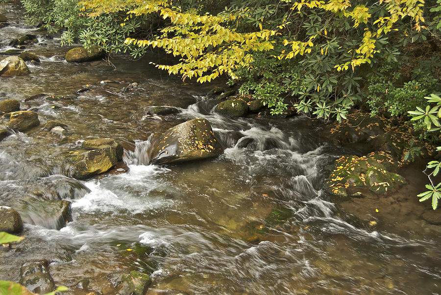 Autumn stream 6149 Photograph by Michael Peychich
