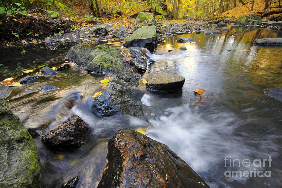 Autumn Stream Photograph by Charline Xia