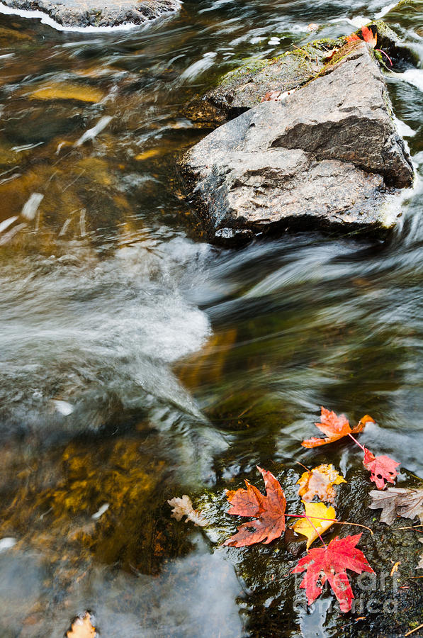 Autumn Stream Photograph by Cheryl Baxter