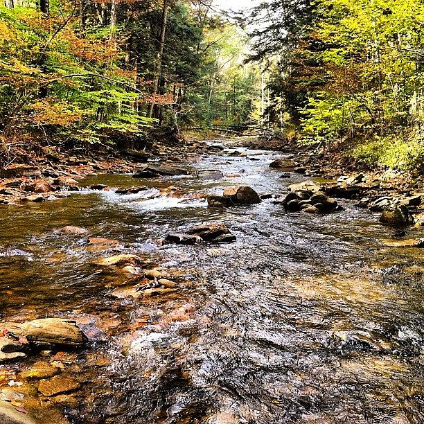 Autumn Stream Photograph by Dave M