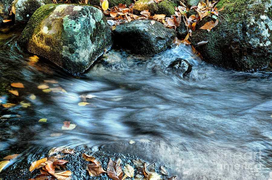 Autumn Stream Photograph by HD Connelly