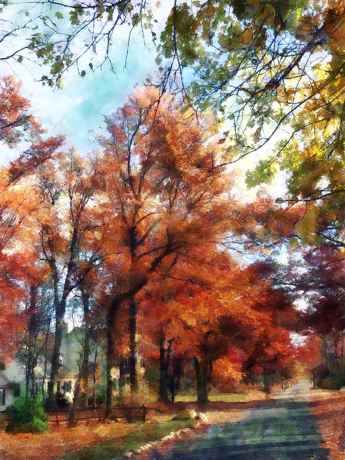 Autumn Street Perspective Photograph by Susan Savad
