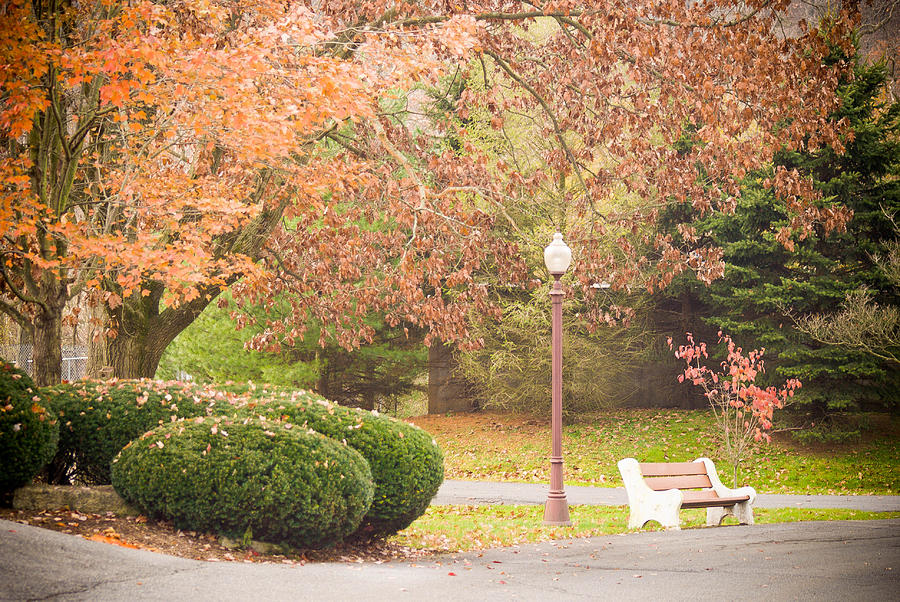 Autumn Stroll Photograph by Trish Tritz