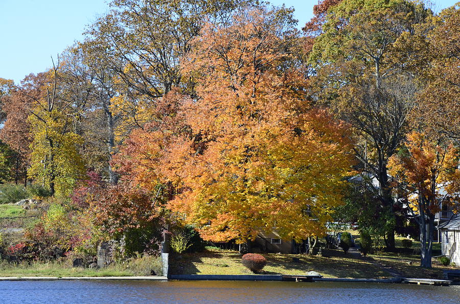Autumn Subtle Changes Photograph by Maureen E Ritter