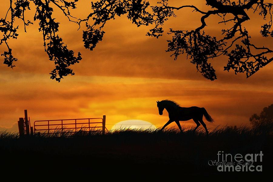 Horse in Pasture with Sunrise Autumn Colors Photograph by Stephanie Laird
