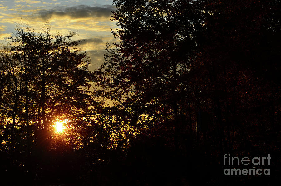 Autumn Sunset 1 Photograph by Bruno Santoro