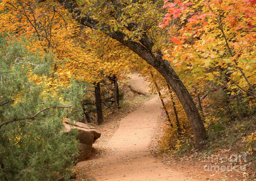 Autumn Trail Photograph by Idaho Scenic Images Linda Lantzy