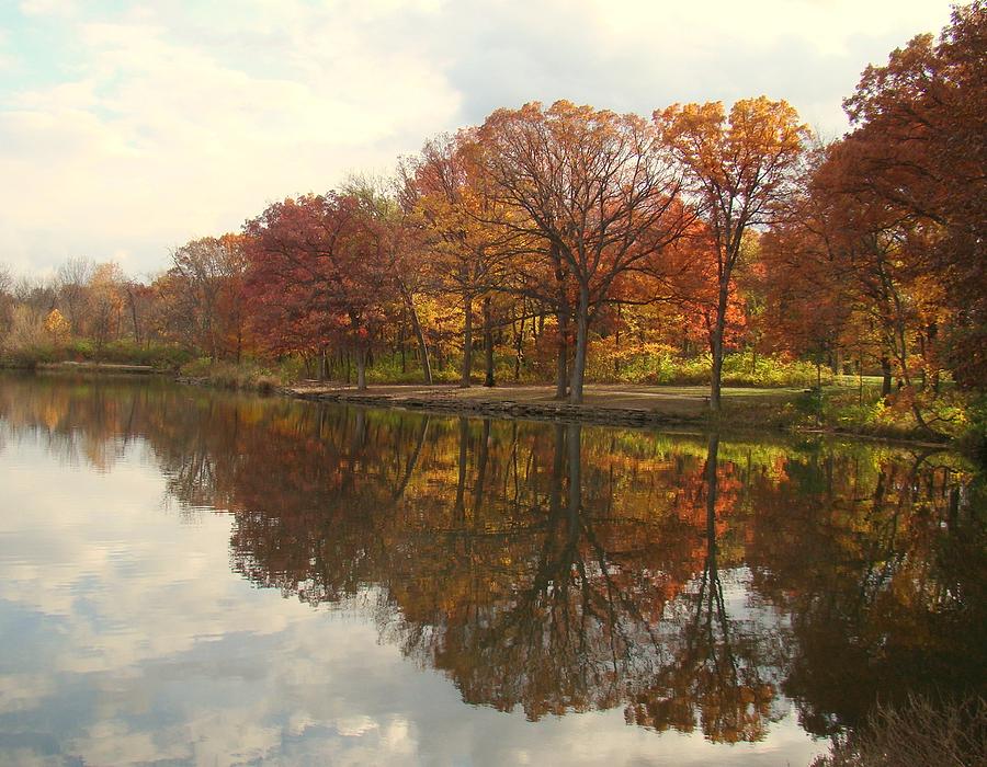 Autumn Tree Line Photograph by Rosanne Jordan