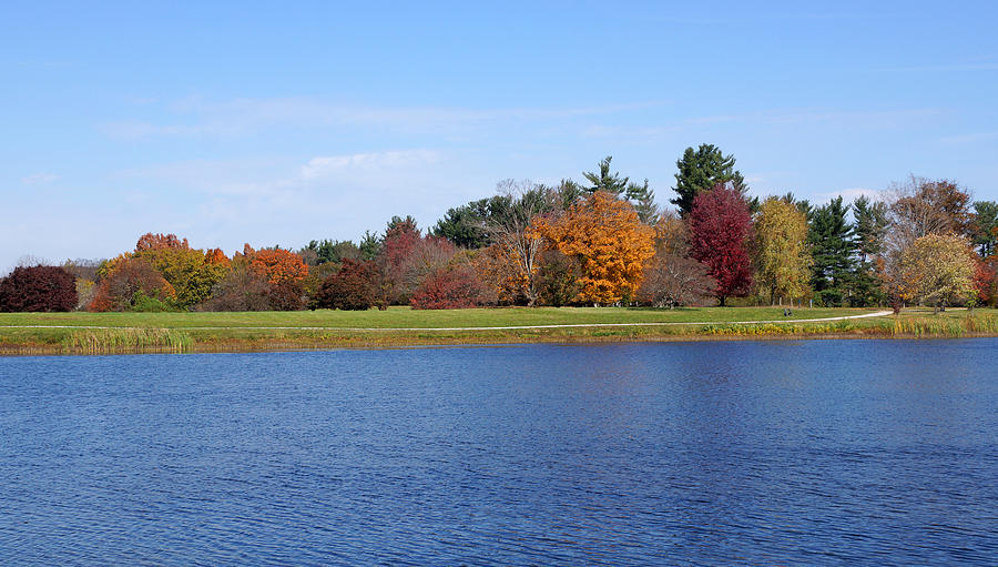 Autumn Trees by the Lake Photograph by Sandy Keeton