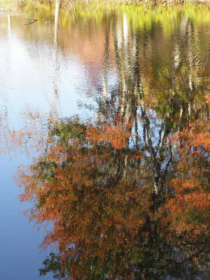 Autumn Trees Reflecting Photograph by Kim Galluzzo Wozniak