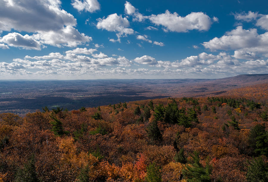 Autumn Vista Photograph by Jim DeLillo