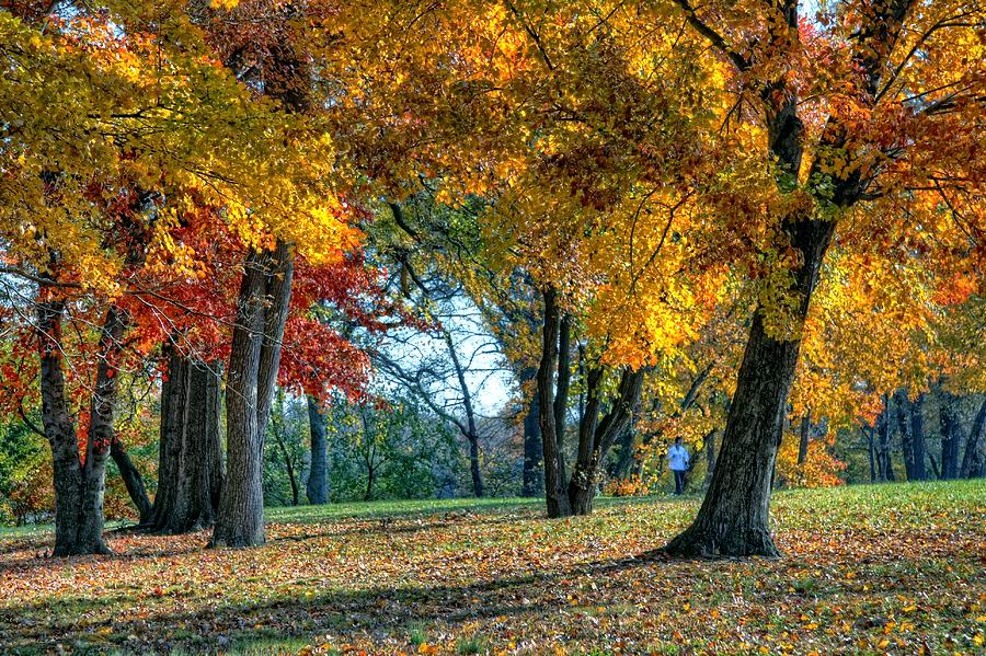 Autumn Walk Photograph by John Loreaux