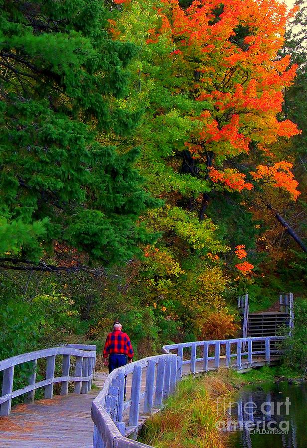 Autumn Walk Photograph by Pat Davidson