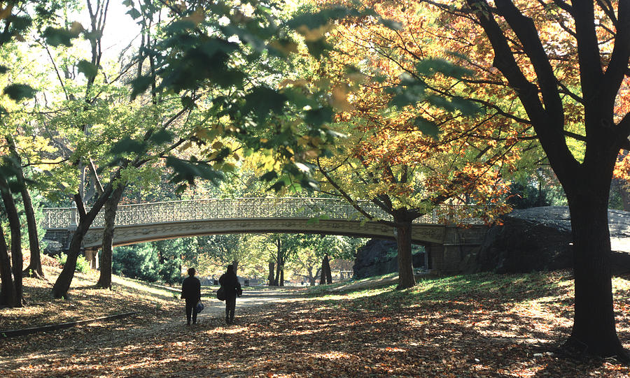 Autumn Walk Through Central Park Photograph by Tom Wurl