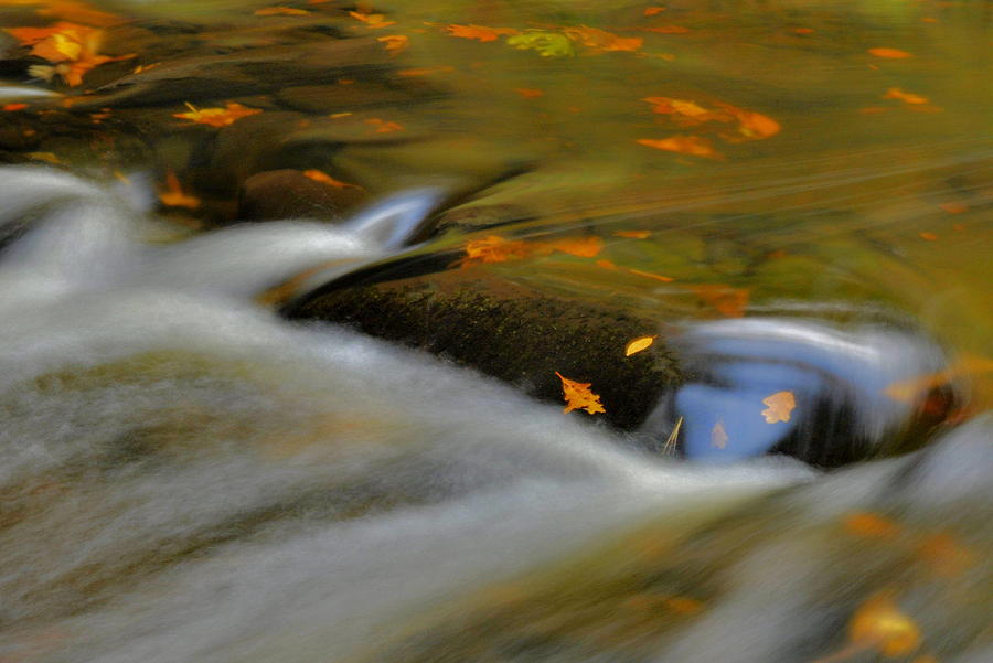Autumn Water Colors Photograph by Stephen Vecchiotti