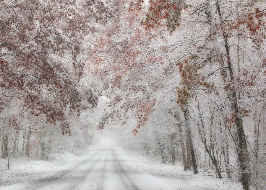 Winter Photograph - Autumn Wonderland by Lori Deiter