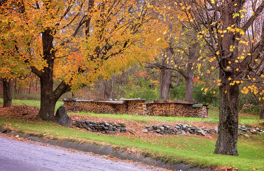 Autumn Woodpile Photograph by Tom Singleton
