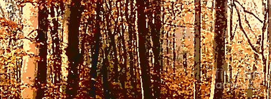 Autumn Woods I Photograph by Angela L Walker