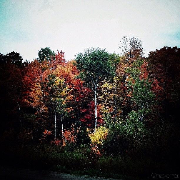 Huntsville Photograph - Autumnal Embrace by Natasha Marco