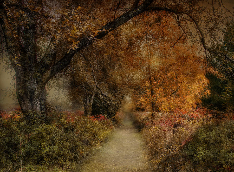 Autumns Garden Photograph by Robin-Lee Vieira