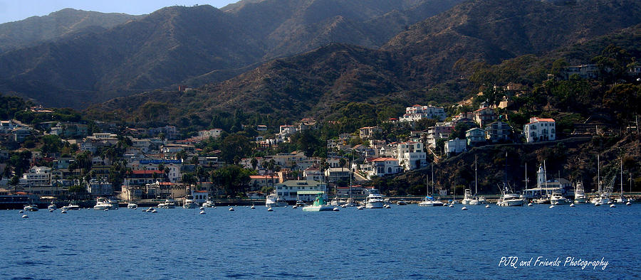 Avalon on Catalina Photograph by PJQandFriends Photography