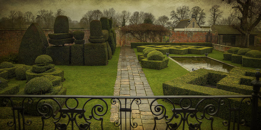 Avebury Manor Topiary Photograph by Clare Bambers