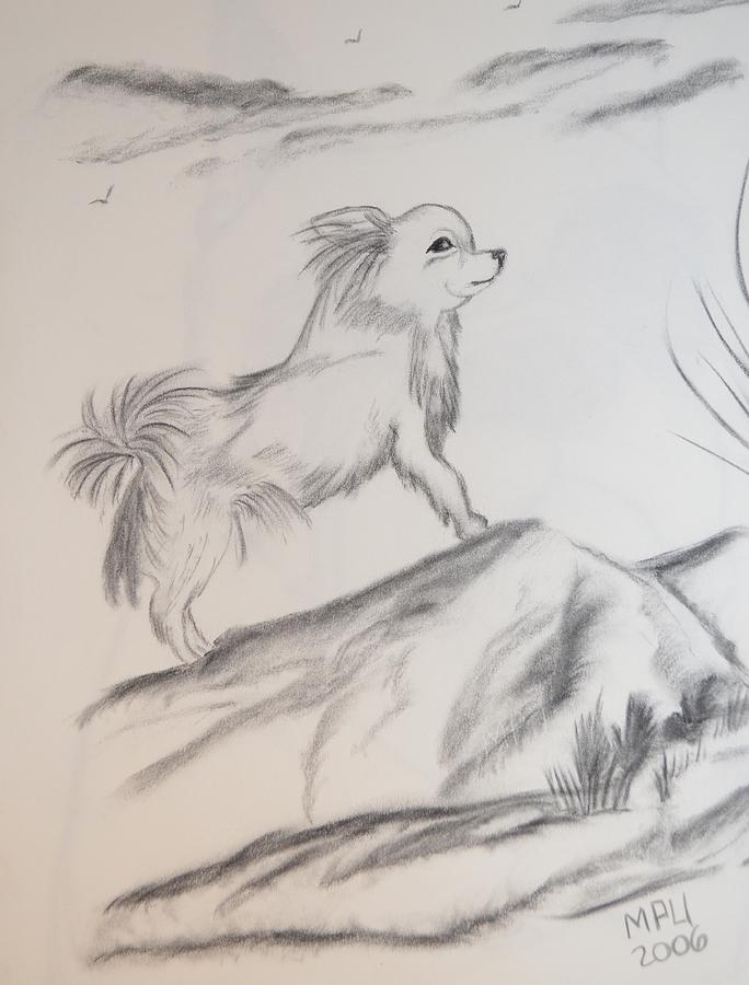 Aye Chihuahua Drawing by Maria Urso