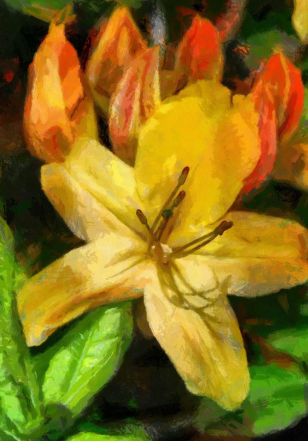 Azalea in bloom Digital Art by Fran Woods