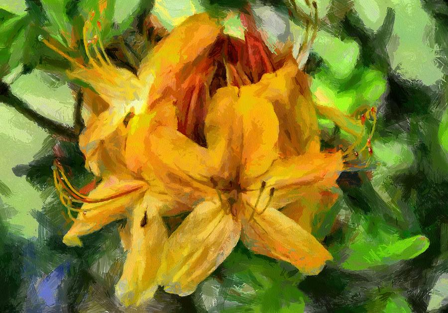 Azaleas in bloom Digital Art by Fran Woods