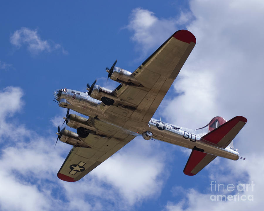 B-17G Yankee Lady overhead Photograph by Tim Mulina