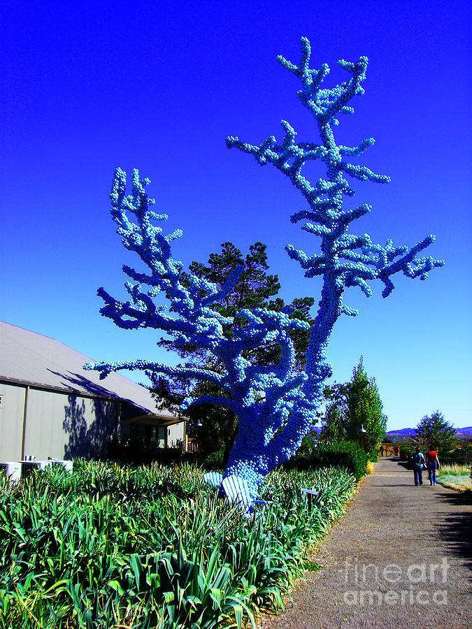 Baby Blue Tree Photograph by Xueling Zou