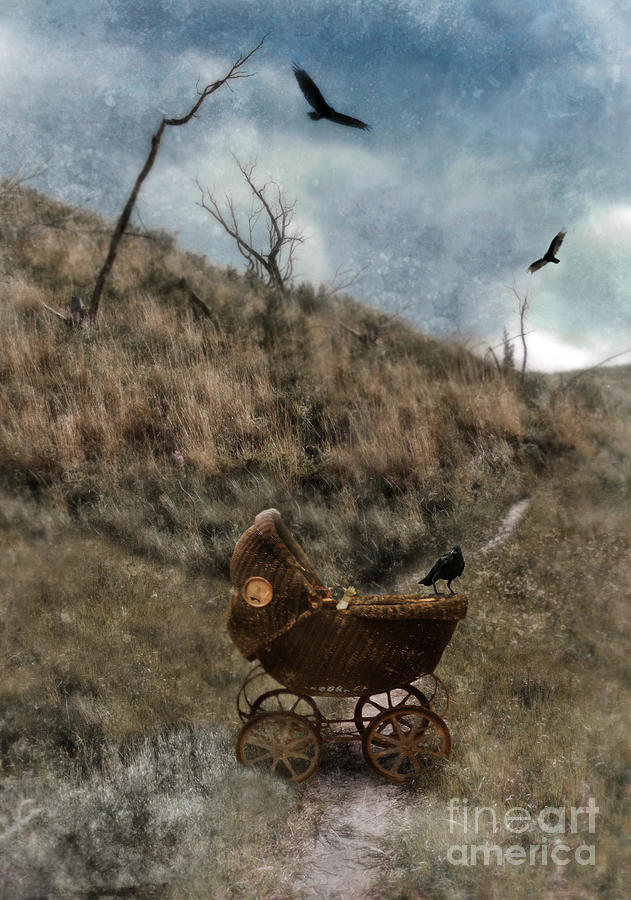 Baby Buggy in Wilderness Photograph by Jill Battaglia