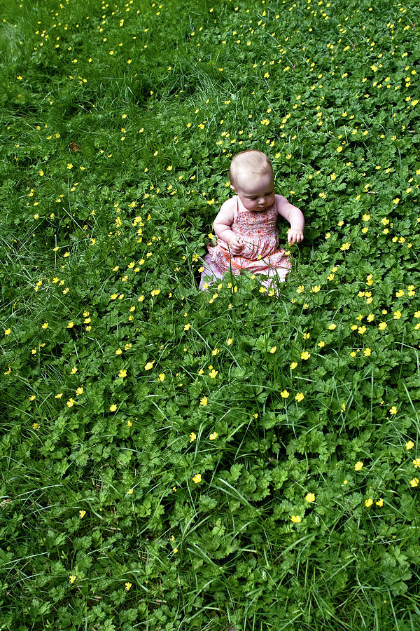 Baby In a Field of Flowers Photograph by Lorraine Devon Wilke