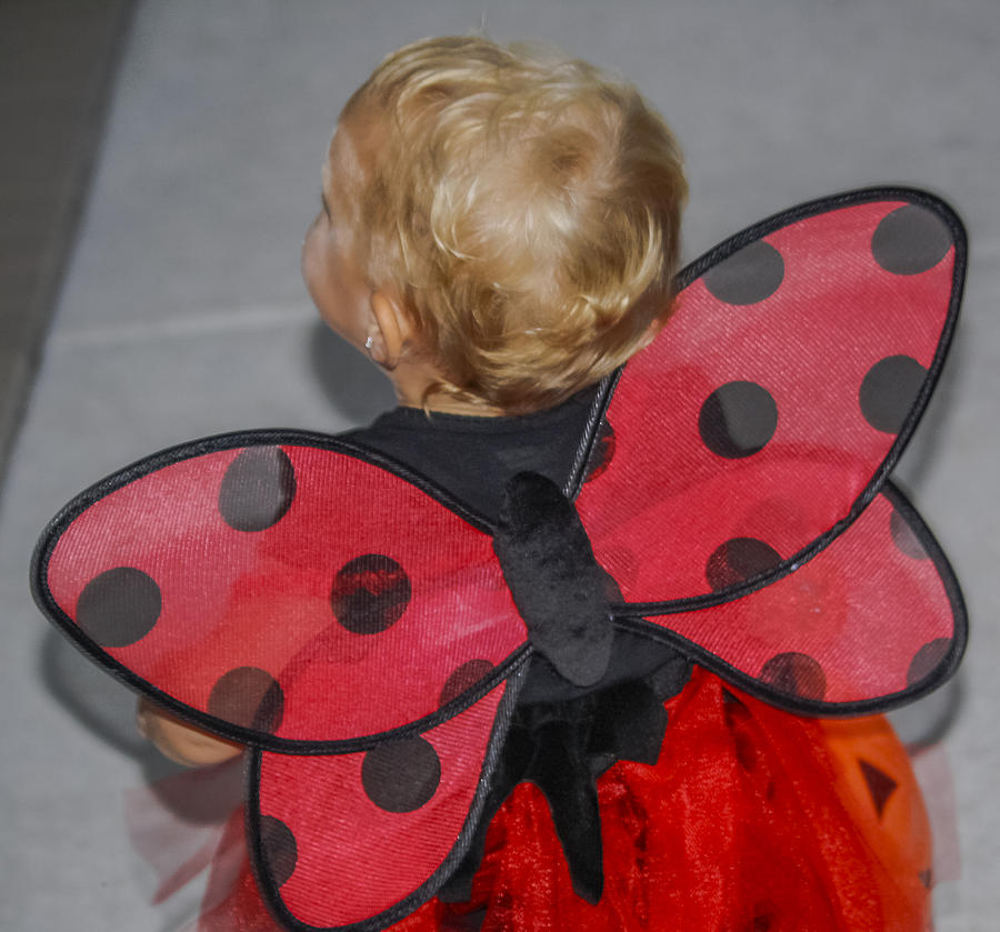 Baby Ladybug Photograph by Andrea OConnell - Fine Art America