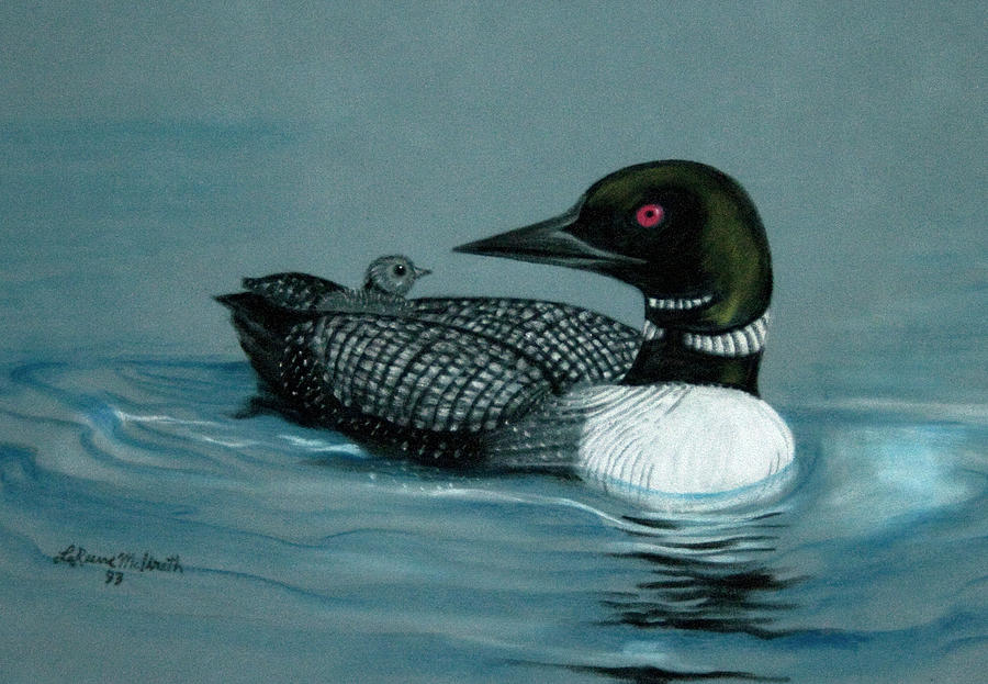 Baby Loon Painting by Rose McIlrath