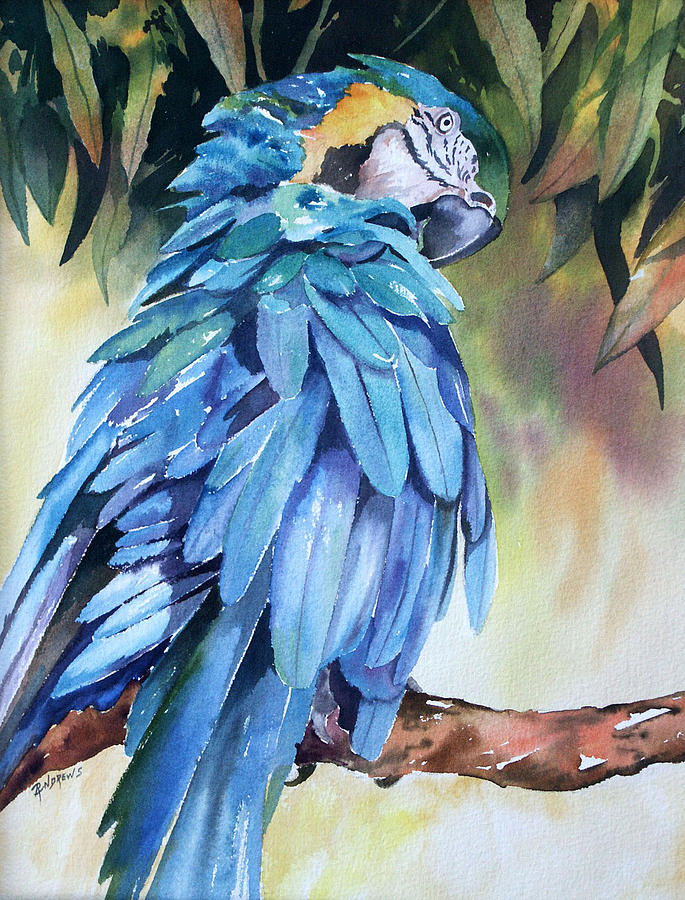 Baby the Blue and Gold Macaw Painting by Rae Andrews