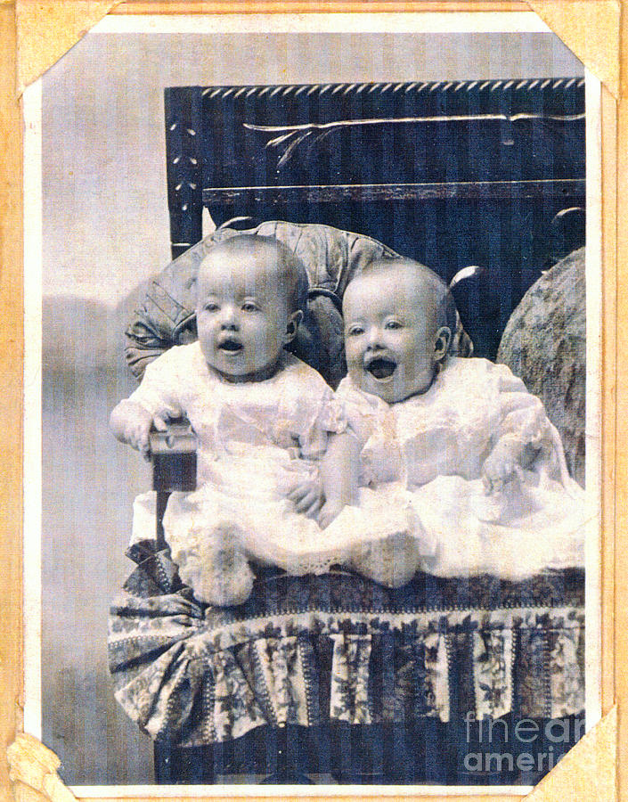Baby Twins Photograph by Donna L Munro