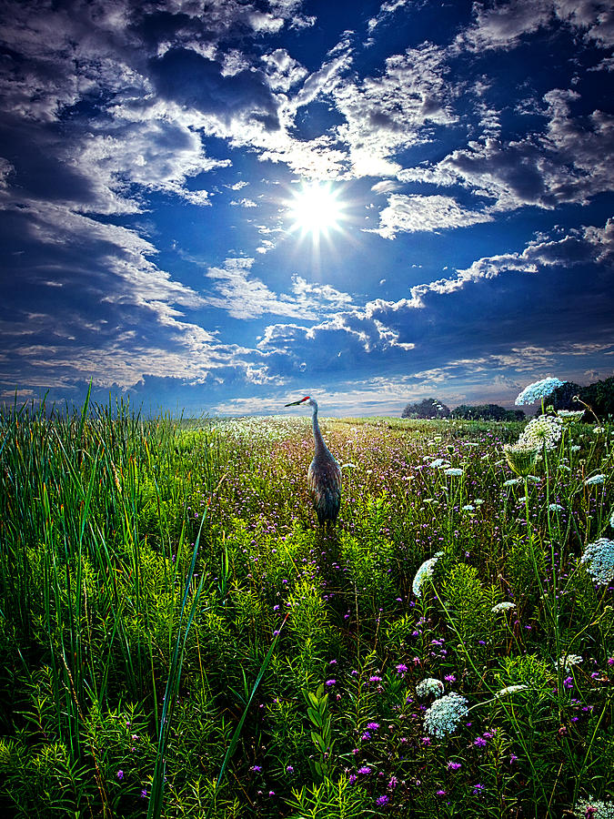 Back Home Photograph by Phil Koch