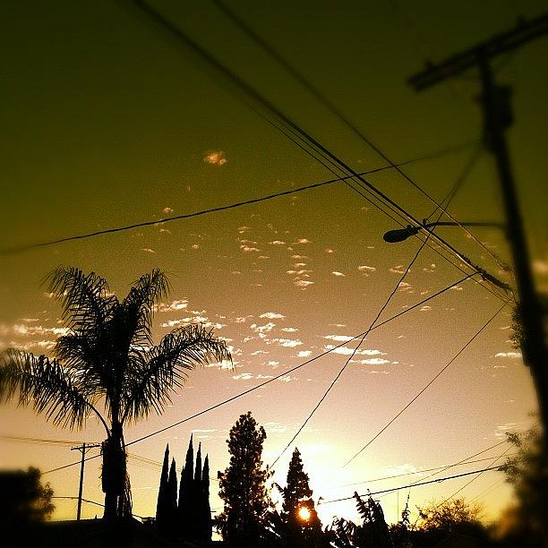 Sunset Photograph - Back In La. #light #popular #cool by Loghan Call