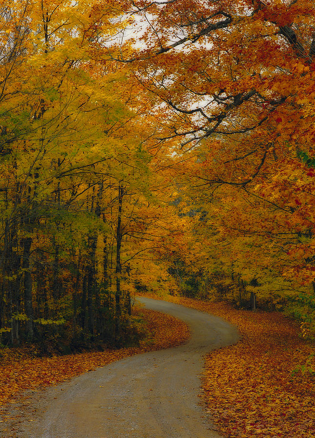 Backcountry Road Photograph by Darwin Wiggett - Fine Art America